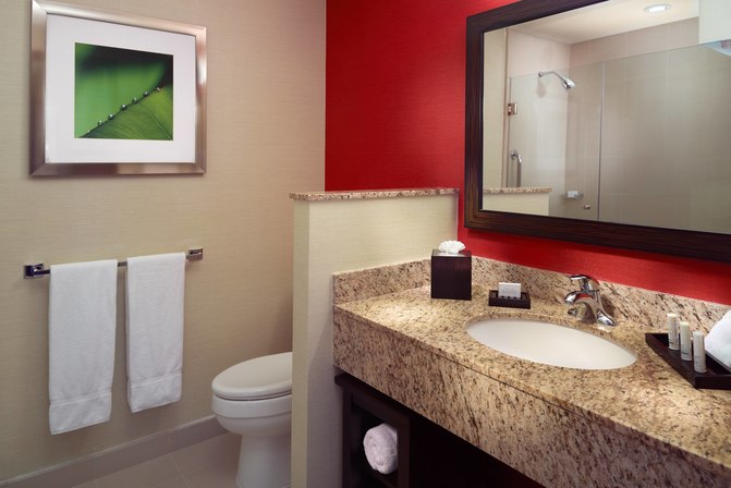 Courtyard by Marriott Mexico City Airport photo 3
