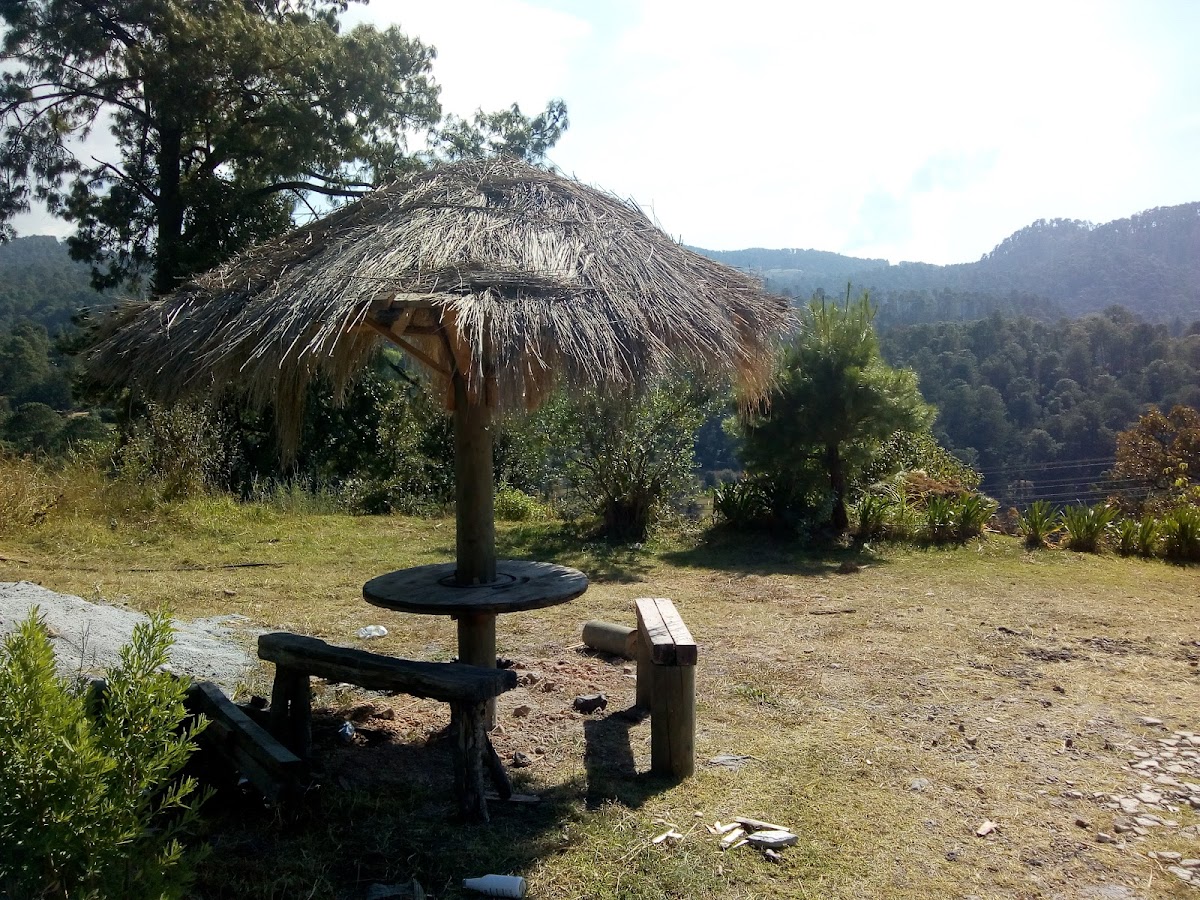 Cabañas San Lucas photo 2