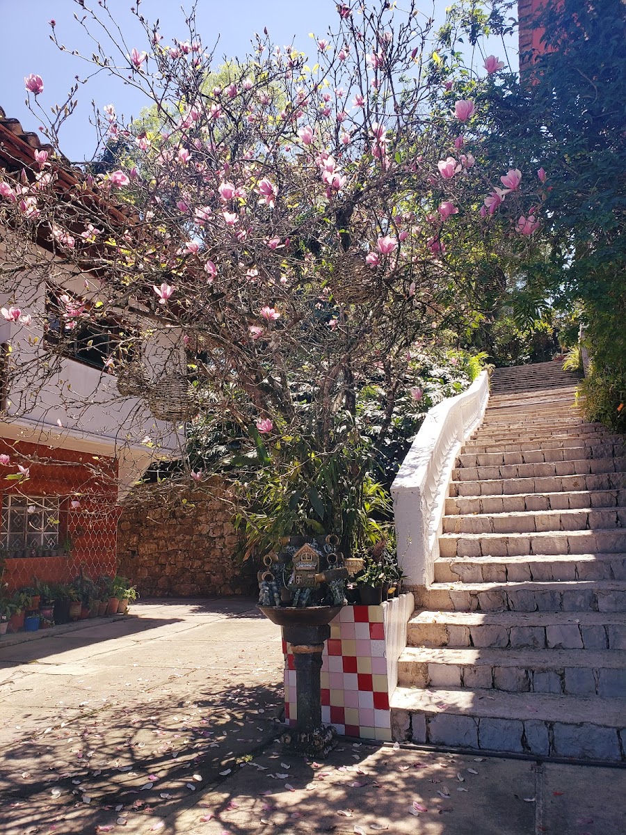 HOTEL MESÓN YOHUALICHAN photo 3