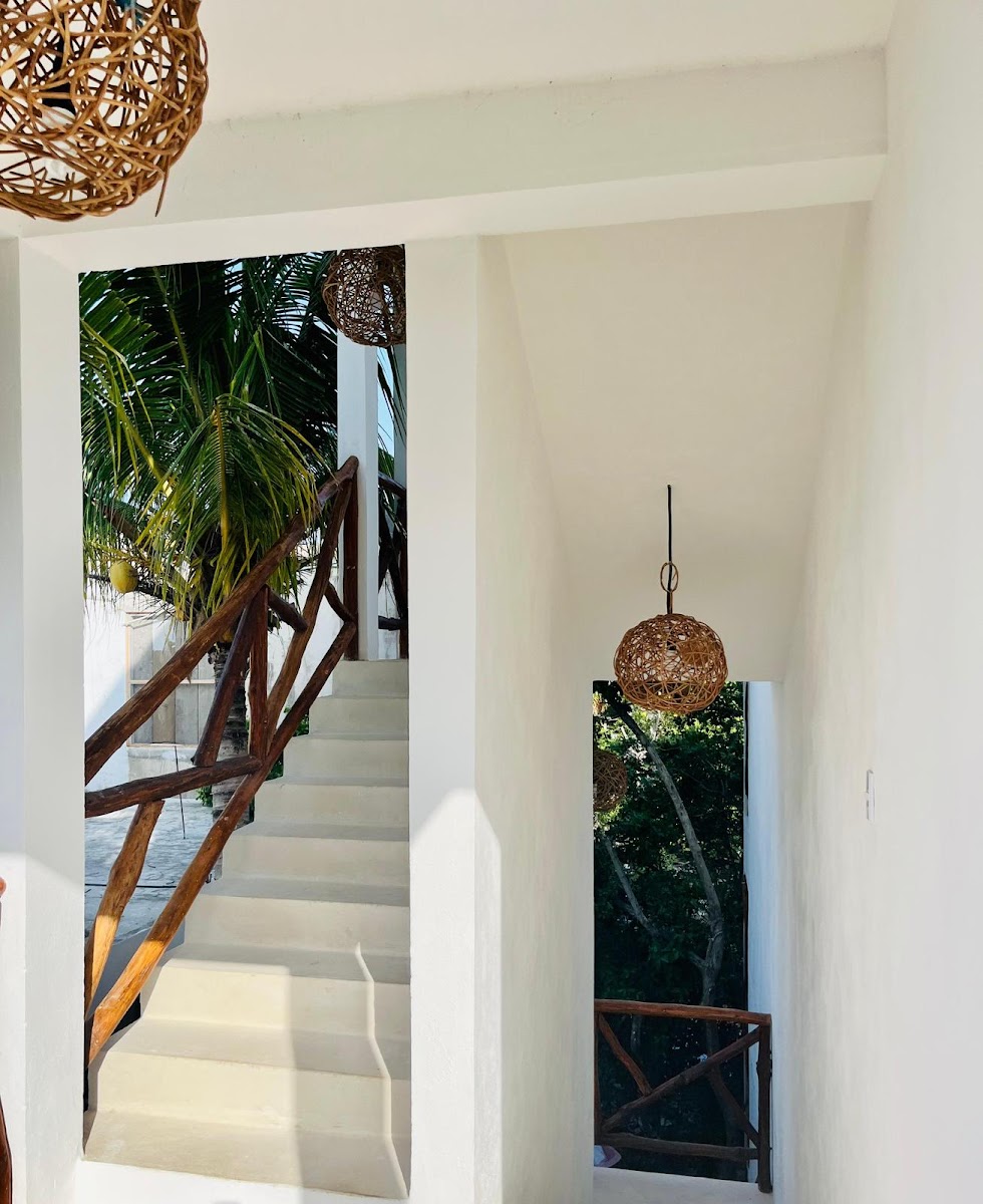 X A M A N A Holbox photo 2