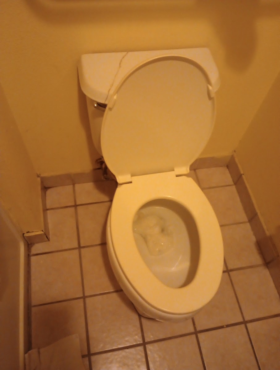 Room 6