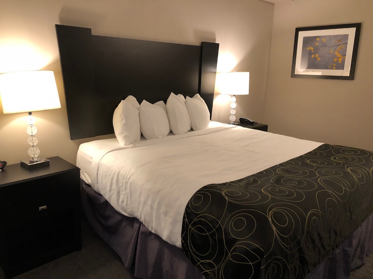 Okoboji Inn and Suites photo 2
