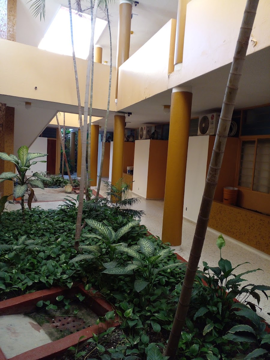 Hotel Villa Del Rey photo 3