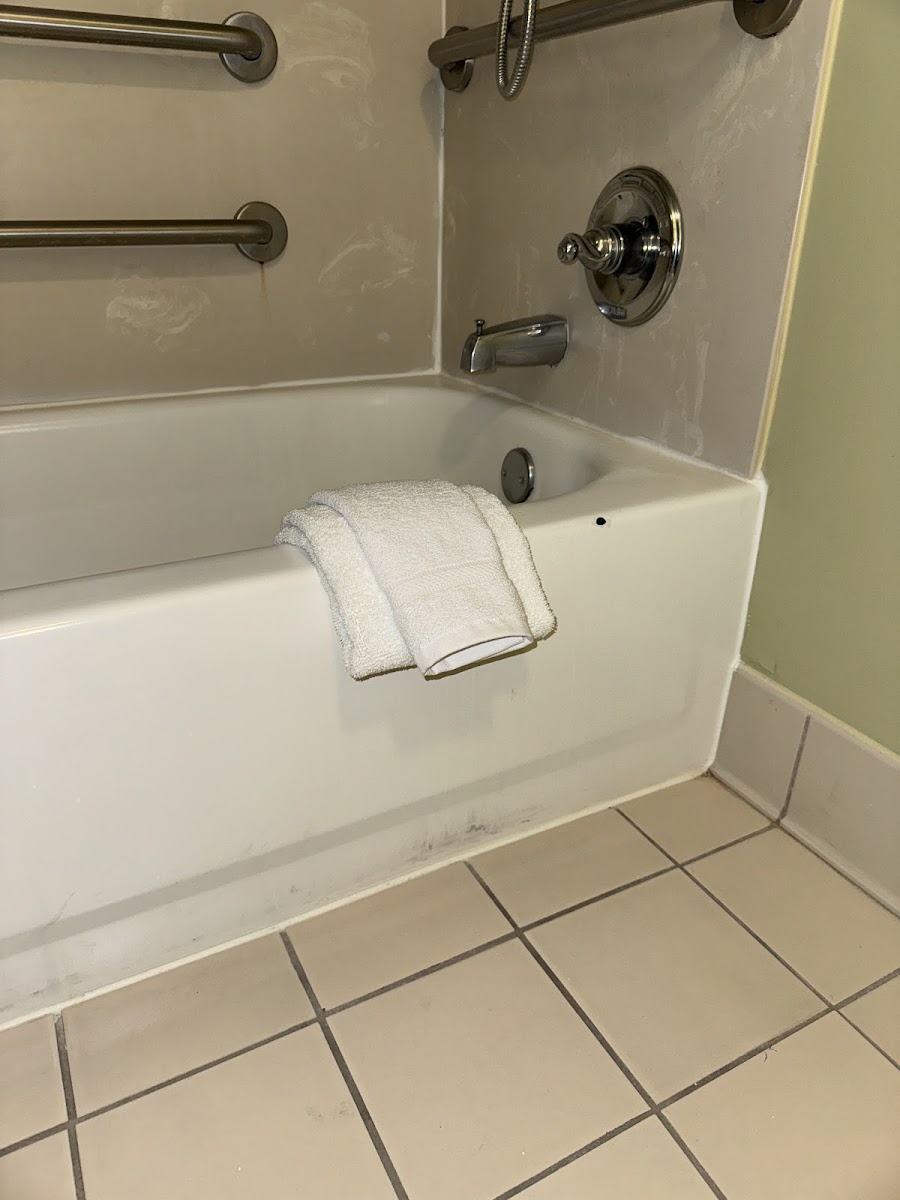 SpringHill Suites by Marriott Memphis Downtown photo 3