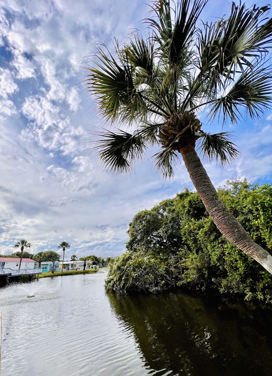 PepperTree RV Resort photo 3