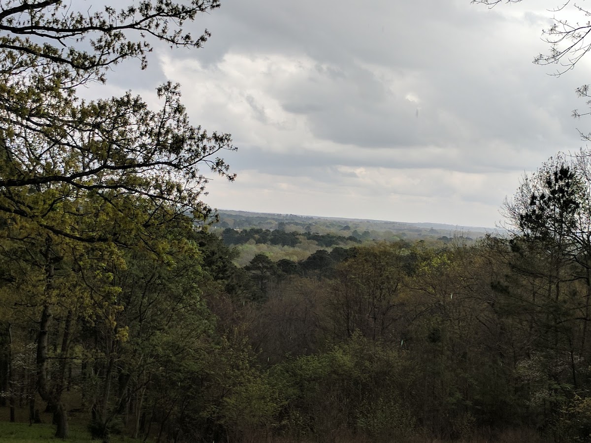 Davey Dogwood Park