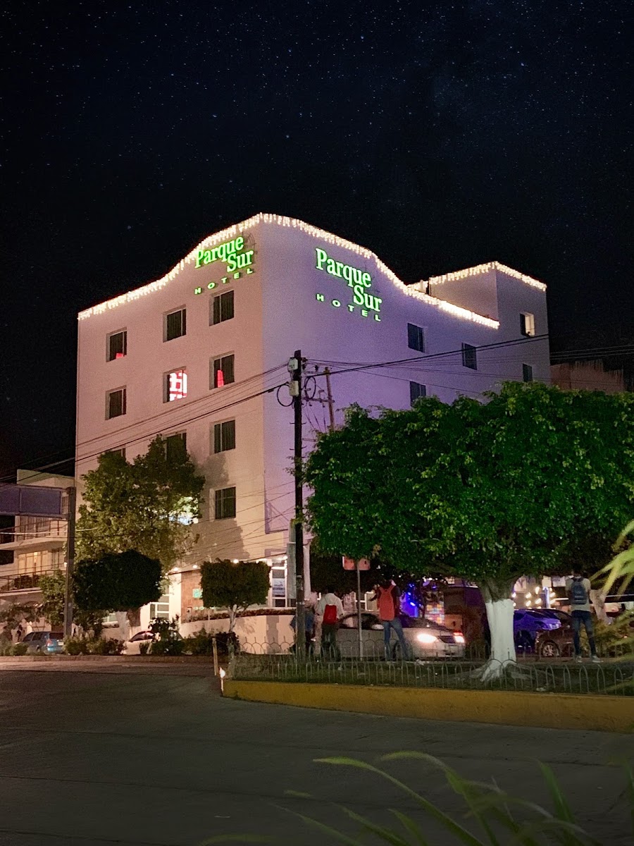 Hotel Parque Sur photo 2