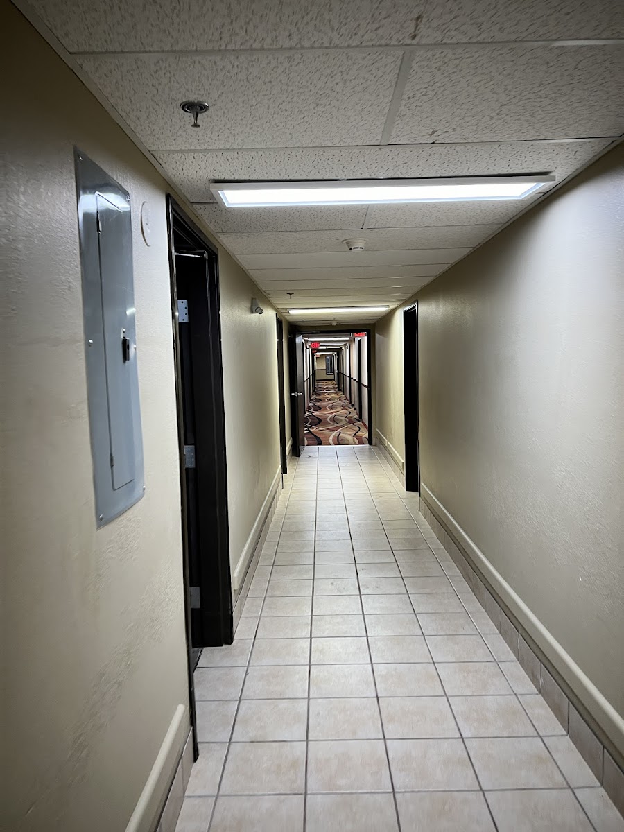 Super 8 by Wyndham Rapid City photo 3
