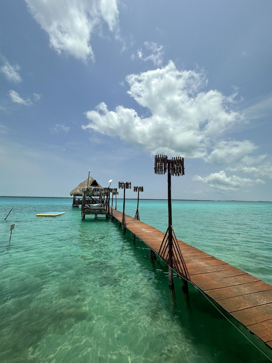Aurea Bacalar photo 3