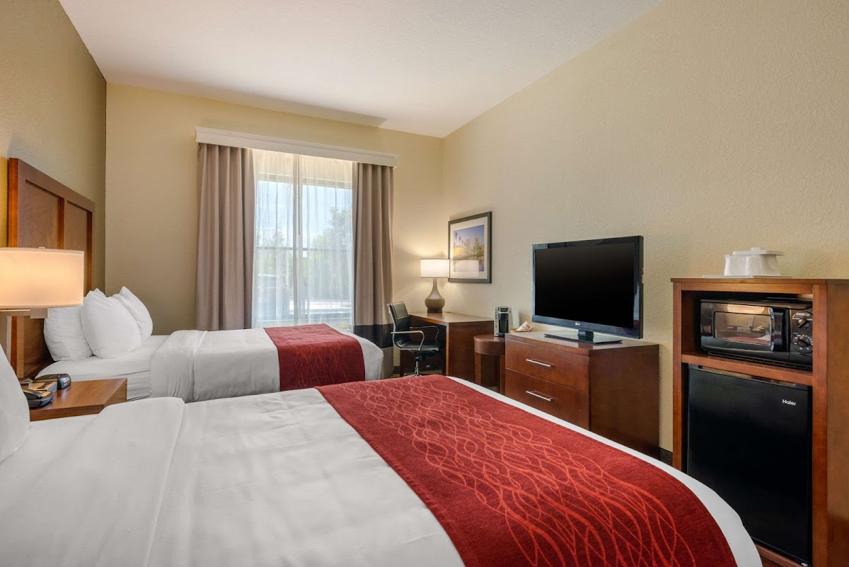 Comfort Inn & Suites Northeast - Gateway photo 2