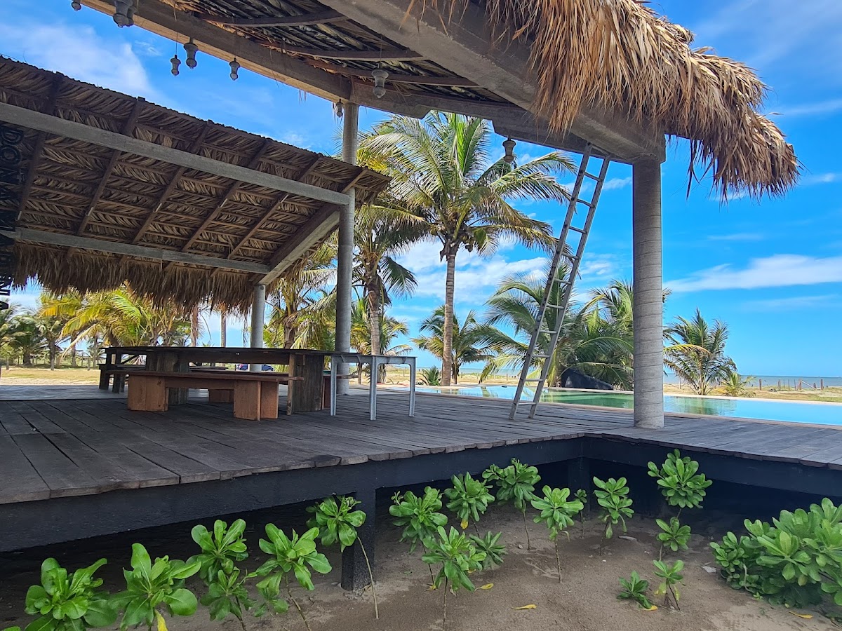 Punta Palmares