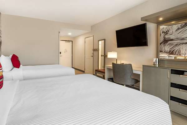 Cambria Hotel Rock Hill - University Center photo 3