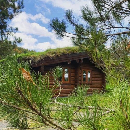 Log Home Village photo 3