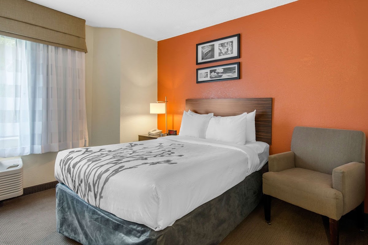 Sleep Inn Sarasota North photo 3