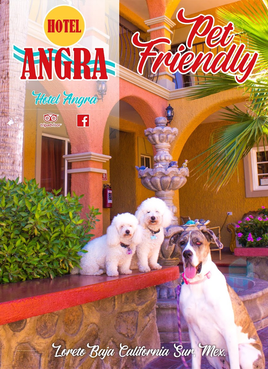 Hotel Angra photo 3