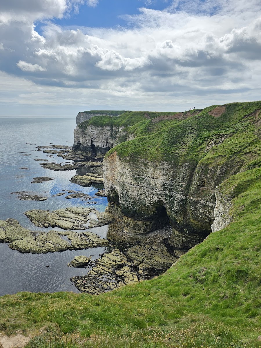 Flamborough Head