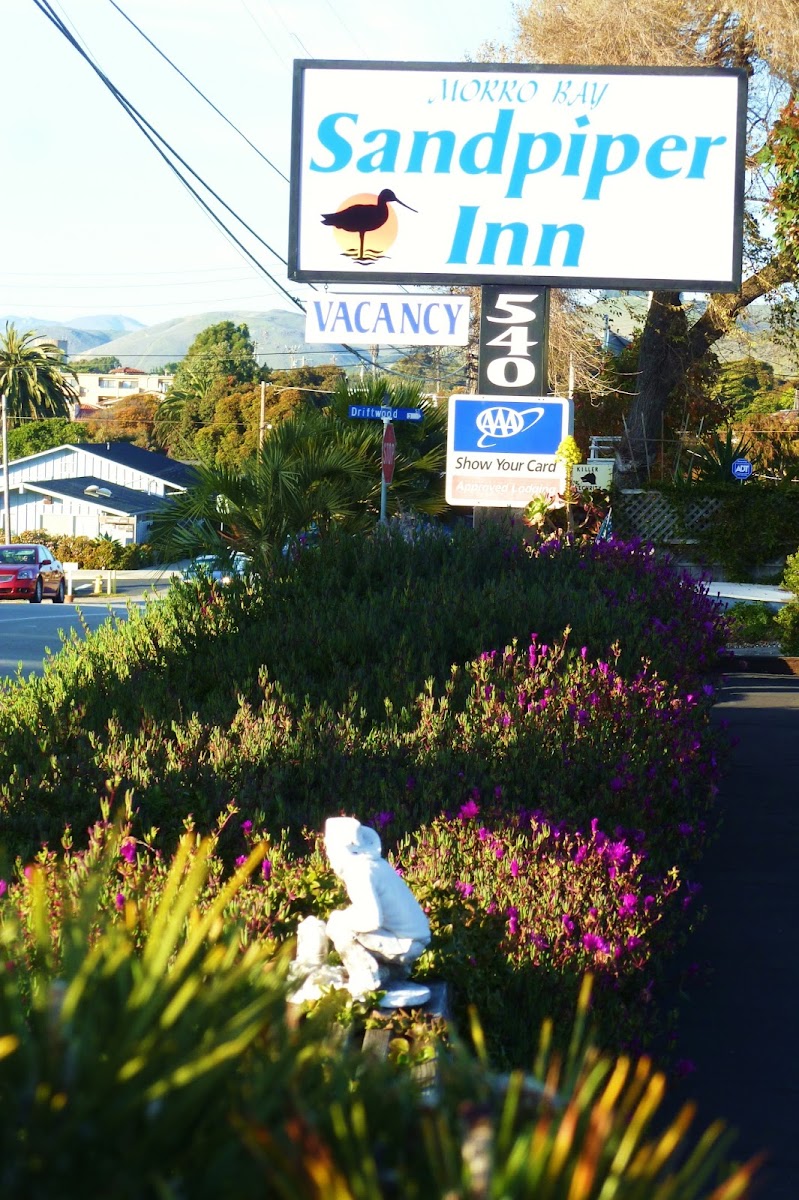 Morro Bay Sandpiper Inn photo 2