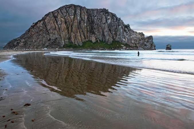 Morro Bay Sandpiper Inn photo 3