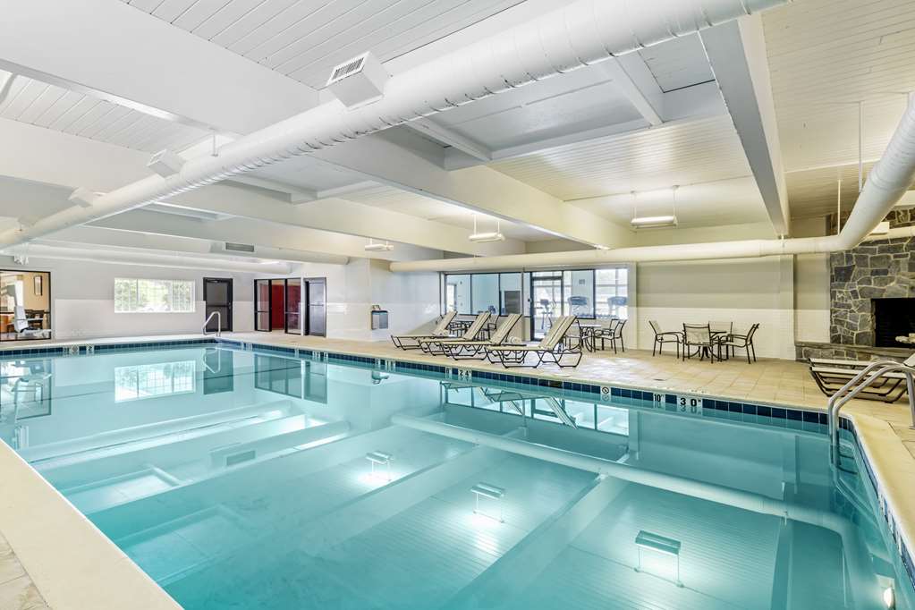 Best Western Springfield Hotel photo 3