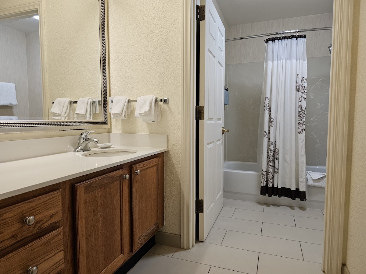 Residence Inn by Marriott Houston Downtown/Convention Center photo 3