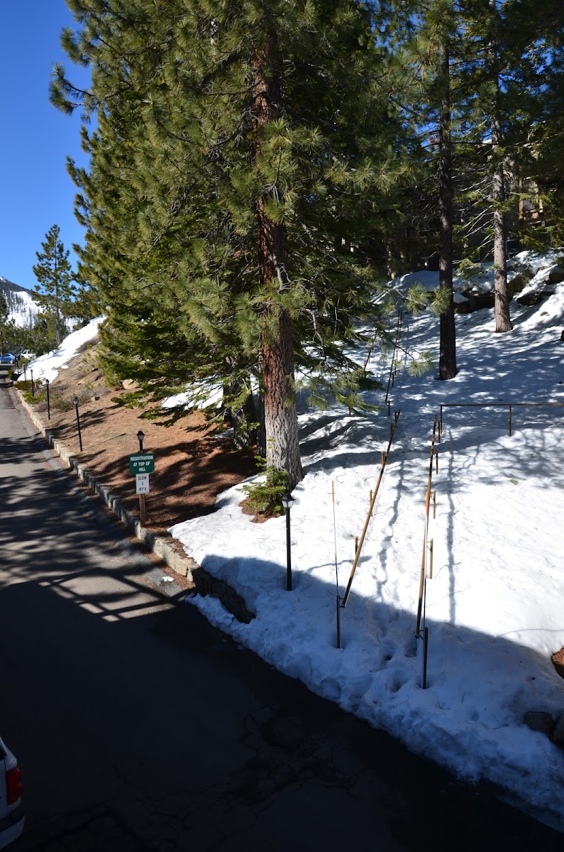 WorldMark Lake Tahoe photo 3