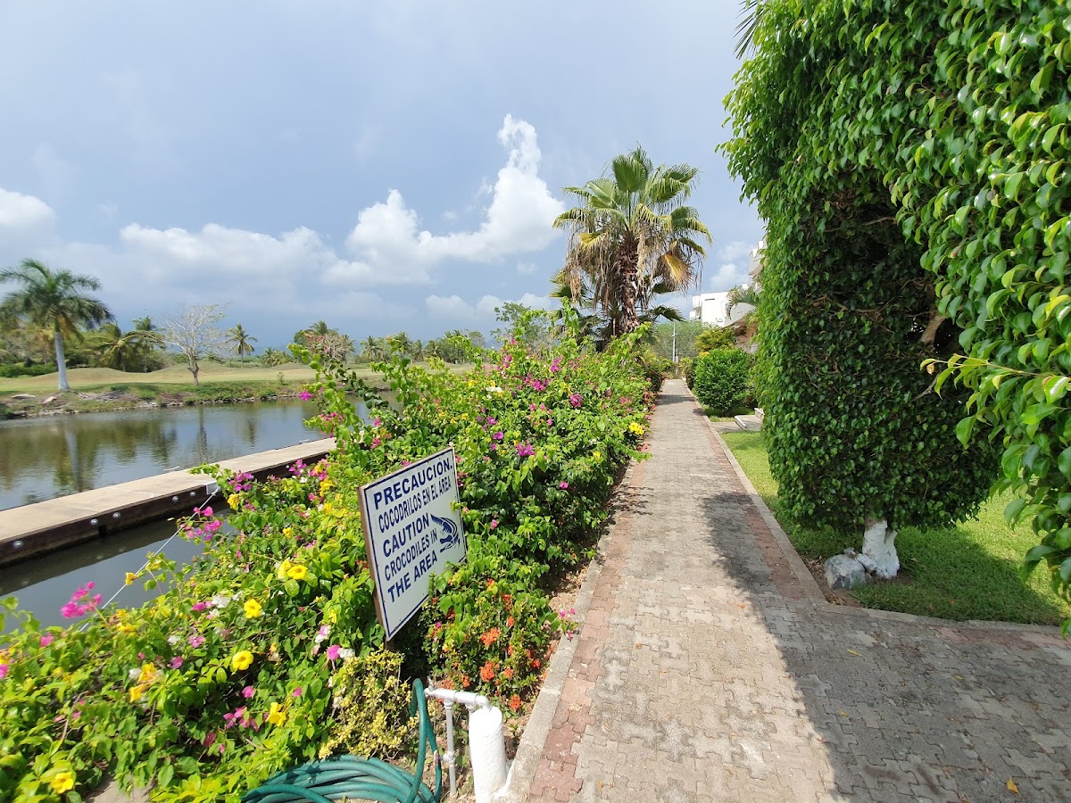 Flamingo Golf Ixtapa Rentals photo 2