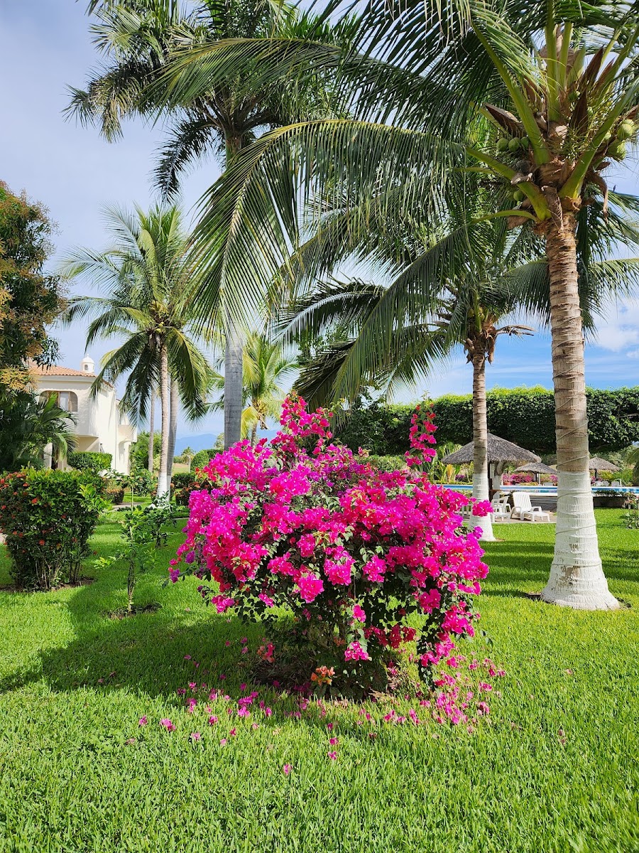 Flamingo Golf Ixtapa Rentals photo 3