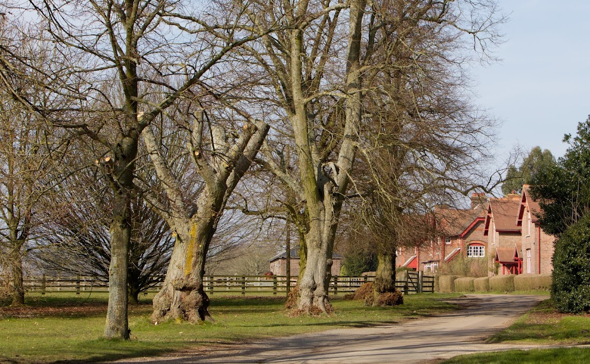 Luton Hoo Estate
