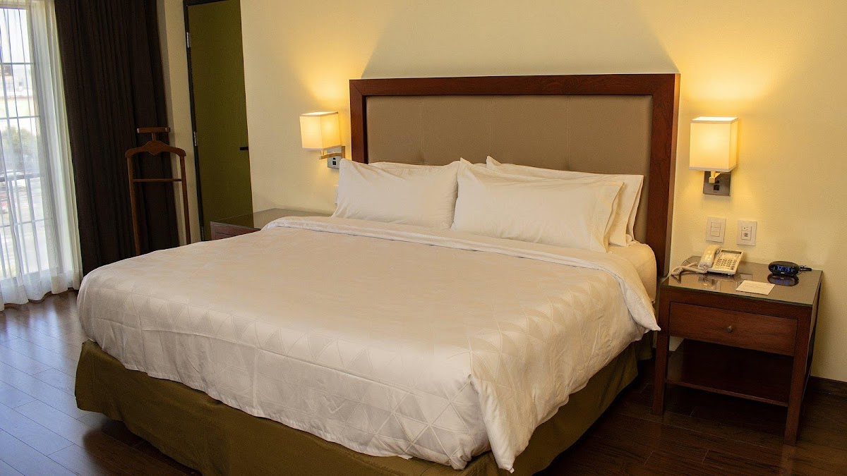 Holiday Inn Leon by IHG photo 3