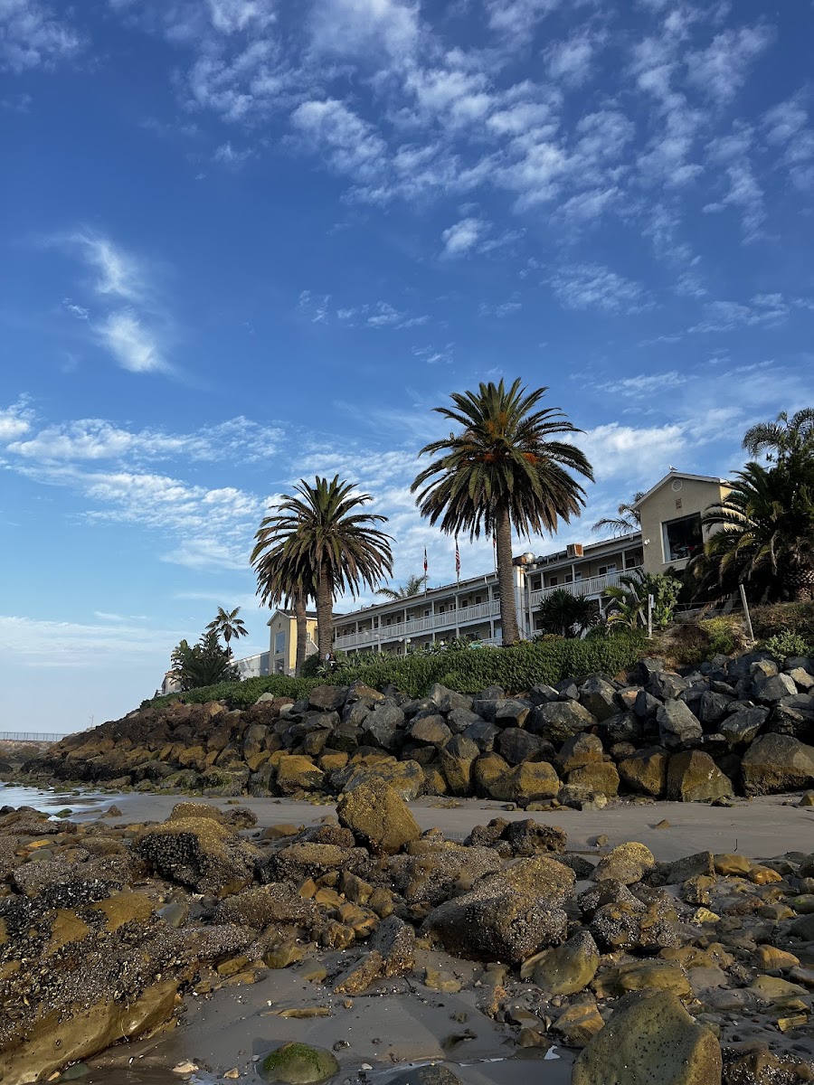 Cliff House Inn On the Ocean photo 3