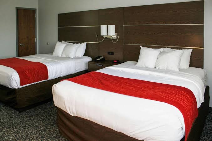Comfort Inn & Suites Near Lake Guntersville photo 2