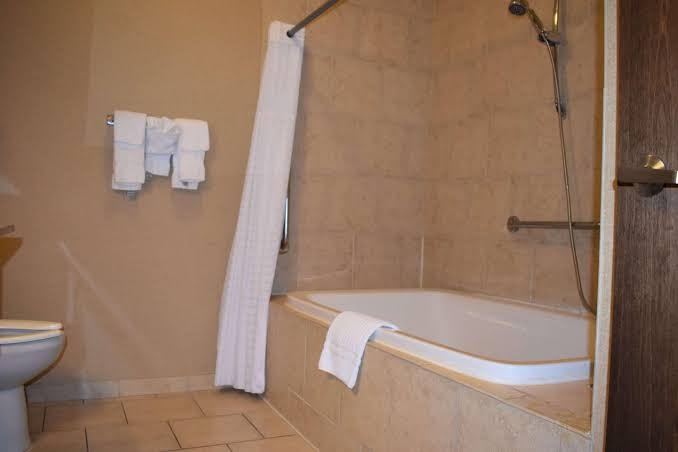 Comfort Inn & Suites Near Lake Guntersville photo 3