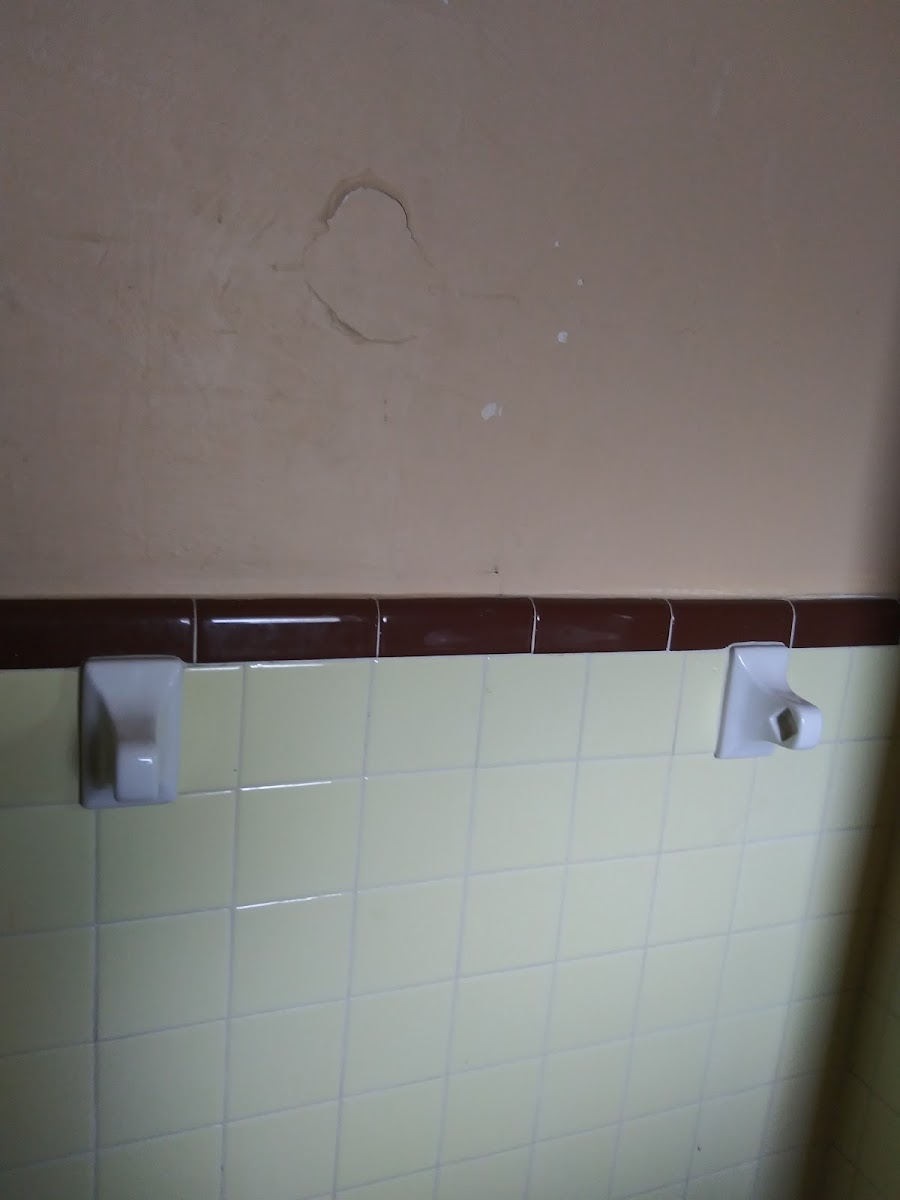 E.Com LODGE photo 2