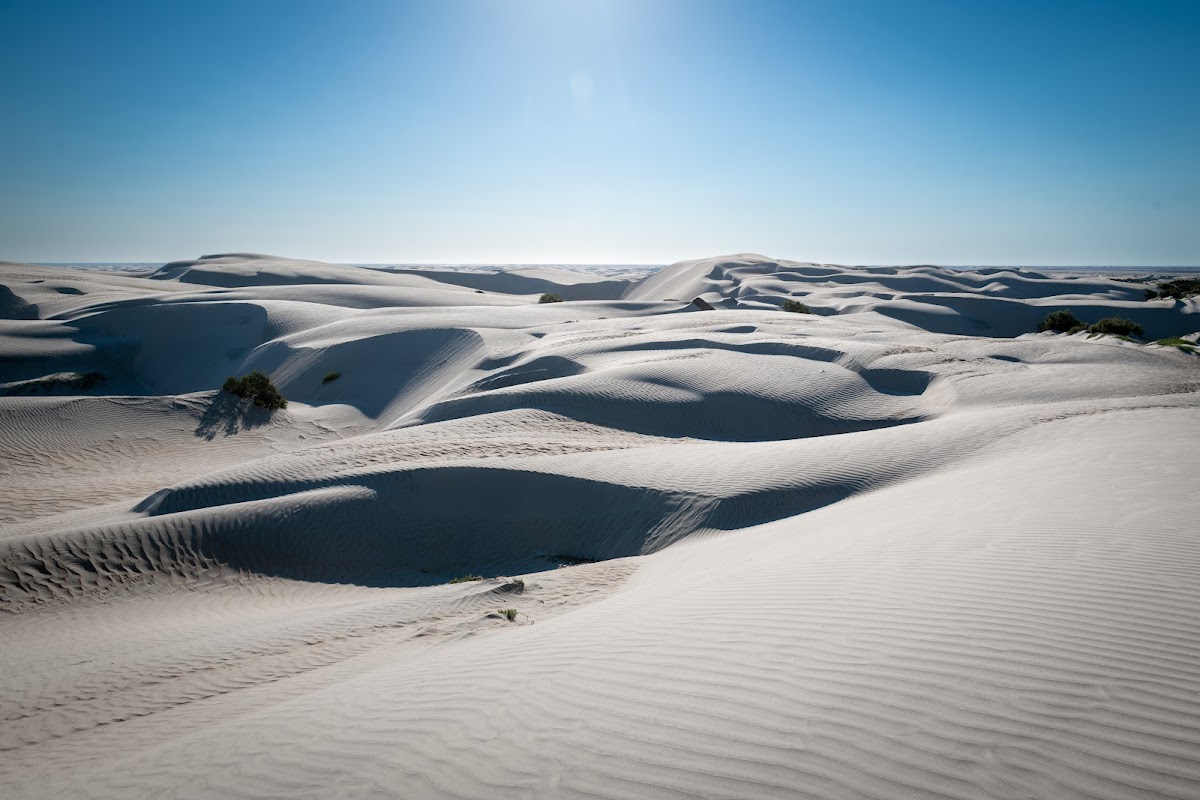 Dunas de la Soledad