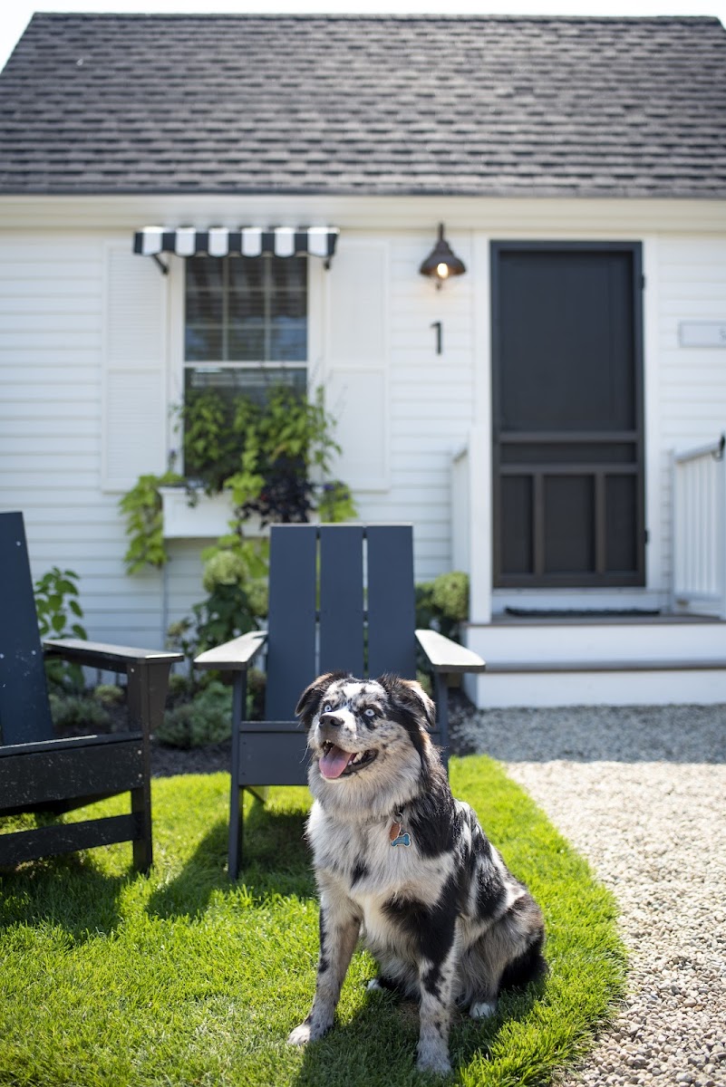 Wanderer Cottages photo 3