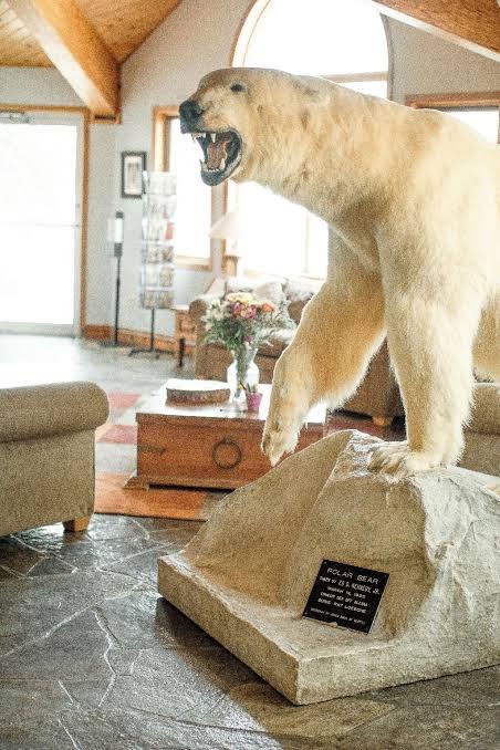 Calabogie Lodge photo 3