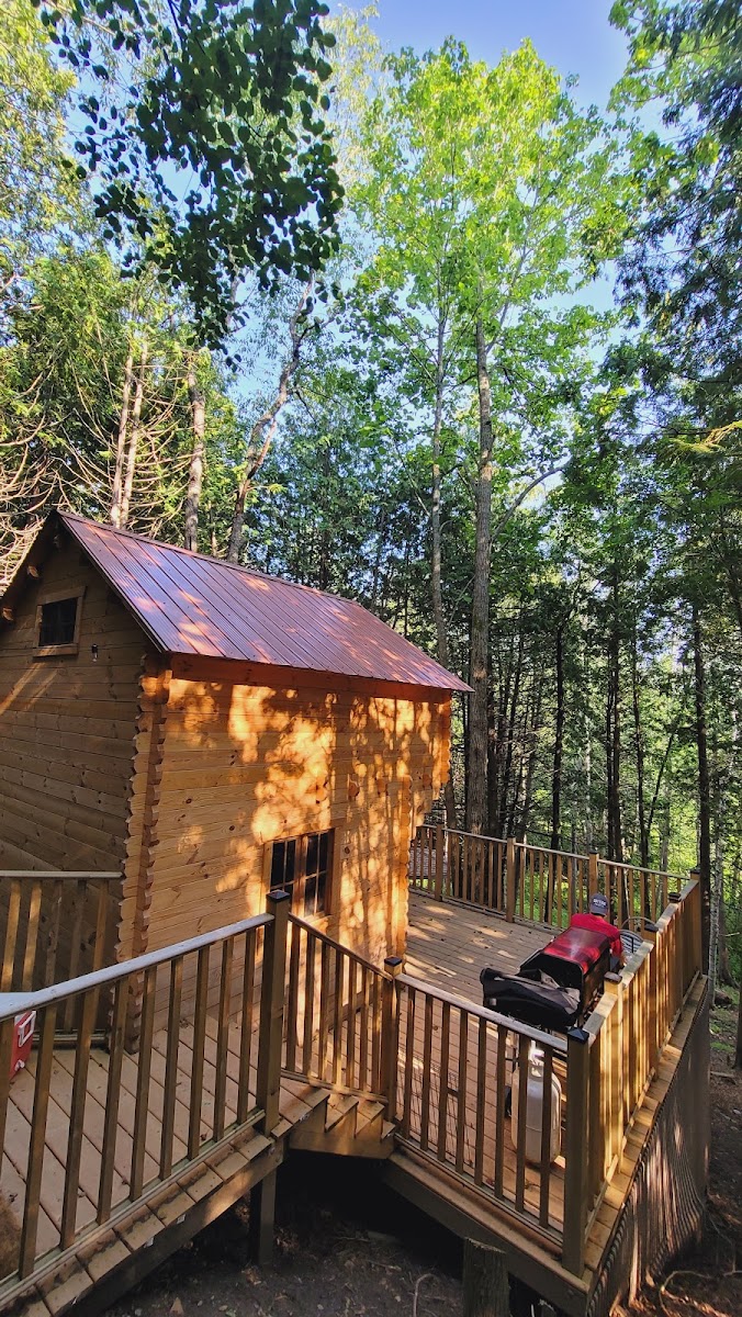 Pine River Log Home BnB