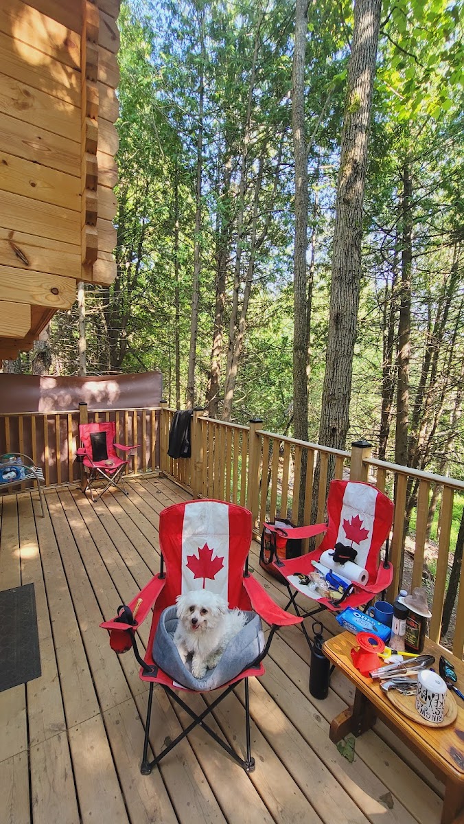 Pine River Log Home BnB photo 3