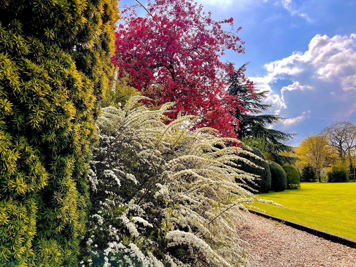 The Chestnuts Country House Boutique B&B photo 3