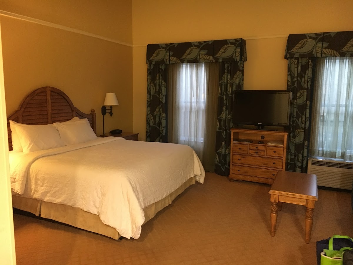 Hampton Inn & Suites Savannah/Midtown photo 3