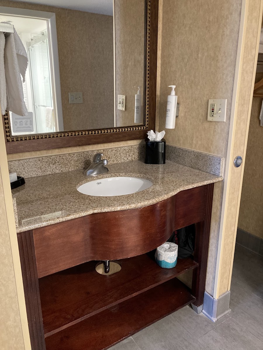 Hampton Inn Washington-Dulles Int'l Airport South photo 3