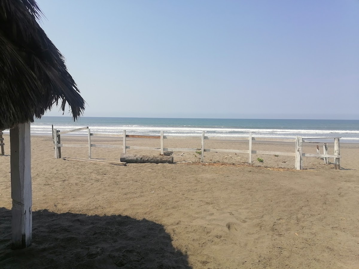 EL MADRESAL photo 3