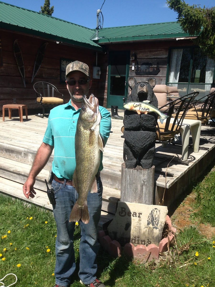 Bear Paw Landing photo 3