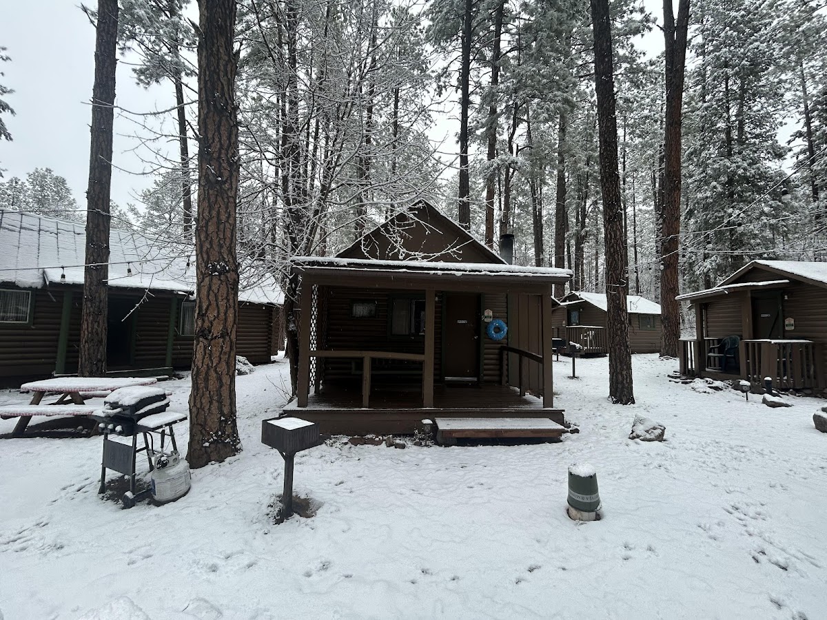 Grey Hackle Lodge photo 3