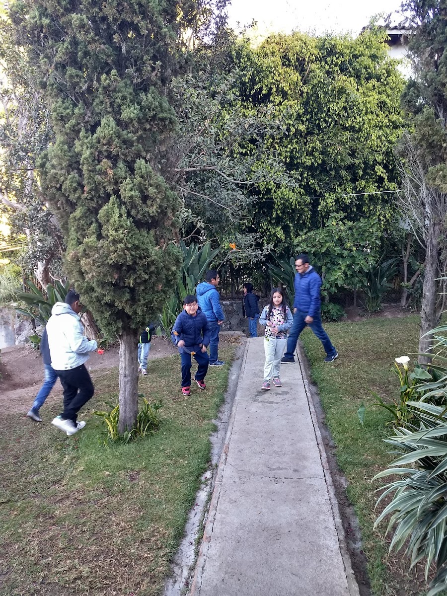 Posada Bella Vista photo 3