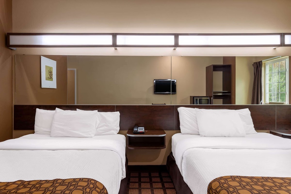 Microtel Inn & Suites by Wyndham Columbia/At Fort Jackson photo 2