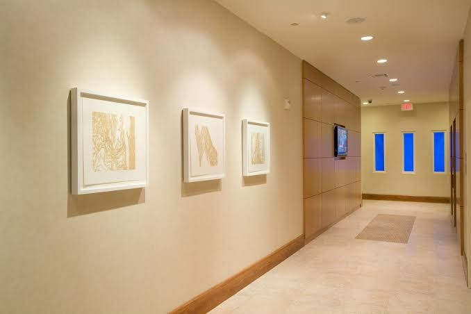 Hilton Garden Inn Dallas/Richardson photo 2