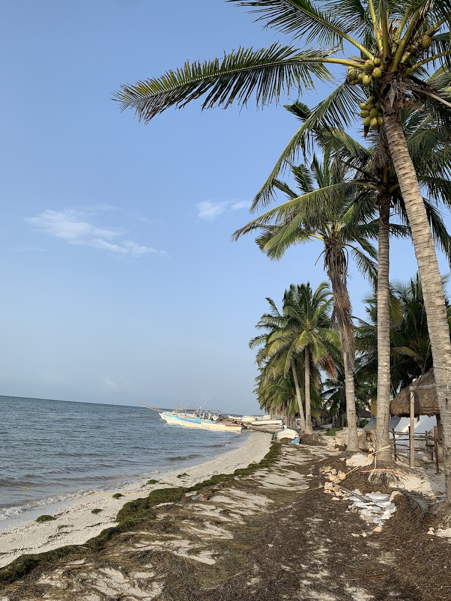 Playa Santa Clara