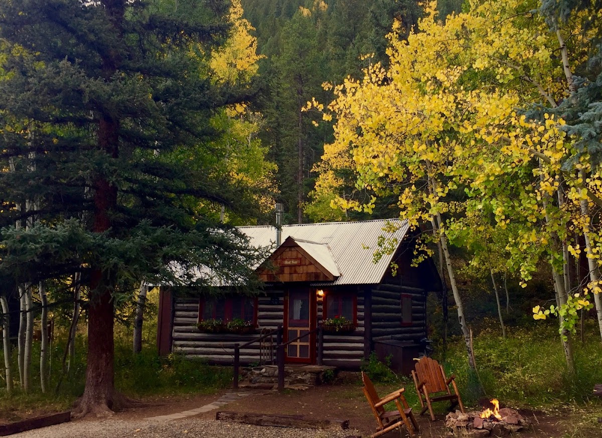 Pioneer Guest Cabins photo 3