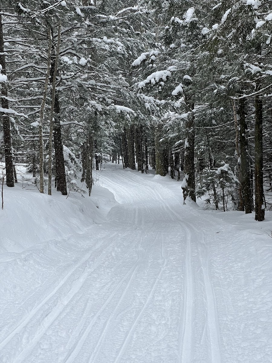 Sutton En Haut-Coop De Sldrt